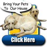 Click Here to Visit Our Pet Corner
